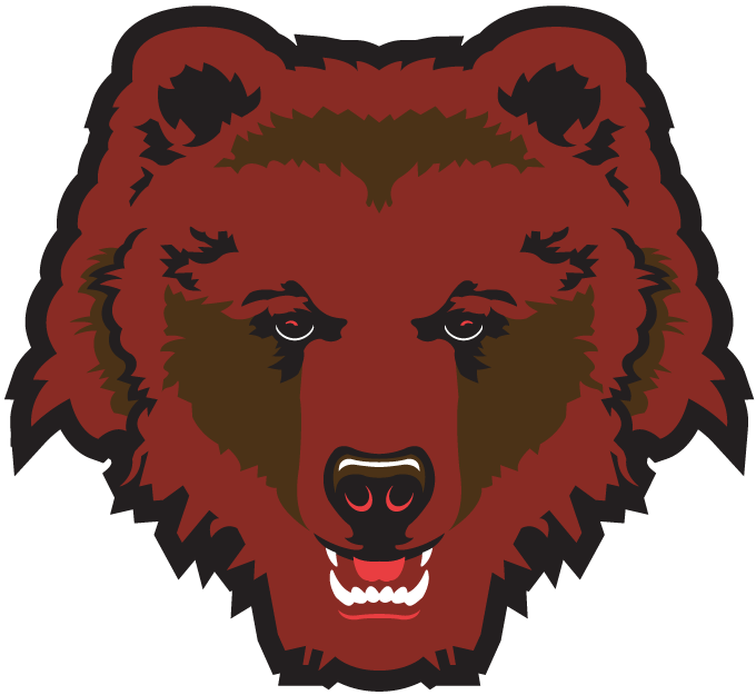 Brown Bears 1997-Pres Partial Logo iron on transfers for T-shirts